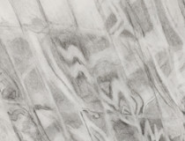 LawtonP_OCeaNIA_Drawing_Cropped_tiny_thumbnail