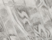 LawtonP_OCeaNIA_Drawing_Cropped_tiny_thumbnail