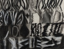 LawtonP_borders_cropped